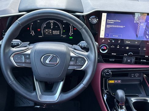 Used 2025 Lexus NX 350h AWD w/ Cold Area Package image 11