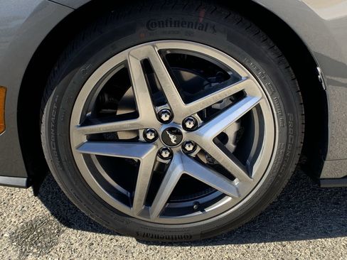 New 2025 Ford Mustang Coupe image 12