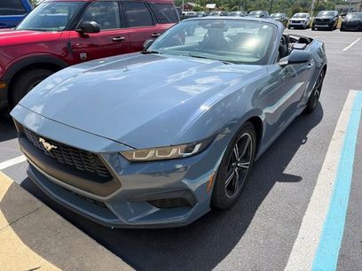 Used 2024 Ford Mustang Premium