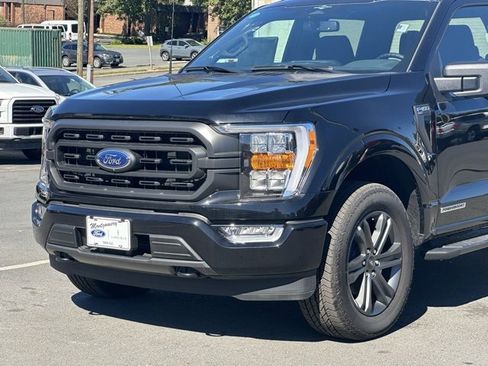 New 2023 Ford F150 XLT w/ Equipment Group 302A High image 34