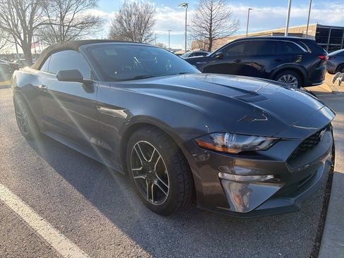 Used 2018 Ford Mustang Premium w/ Equipment Group 201A image 8