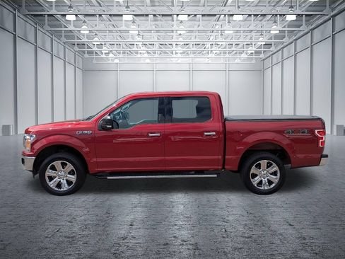 Used 2019 Ford F150 XLT w/ Equipment Group 302A Luxury AWD/4WD image 2