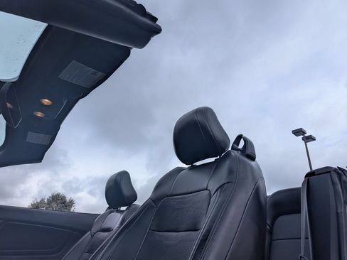 Used 2019 Ford Mustang Premium w/ Equipment Group 201A RWD image 19