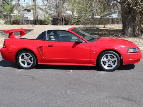 Used 1999 Ford Mustang Cobra image 3