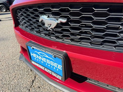 Used 2015 Ford Mustang Premium w/ Equipment Group 201A RWD image 8