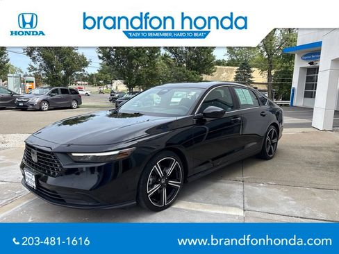 Used 2024 Honda Accord Sport image 3