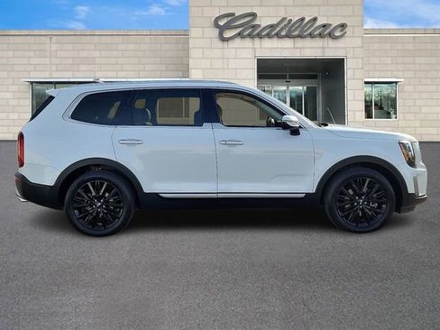 Used 2020 Kia Telluride SX w/ SX Prestige Package image 7