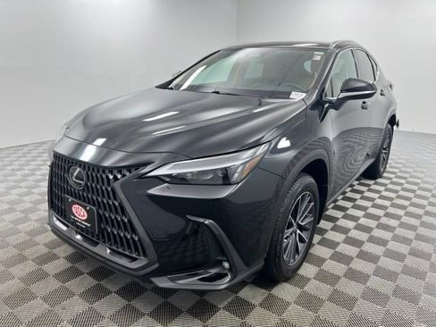 Used 2024 Lexus NX 250 AWD w/ Cold Area Package image 2