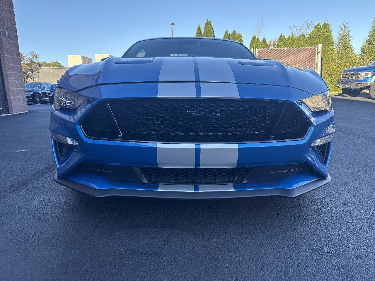 Used 2020 Ford Mustang GT Premium w/ Equipment Group 401A RWD image 6