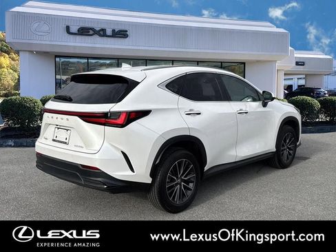 Used 2025 Lexus NX 250 FWD w/ Cold Area Package image 5