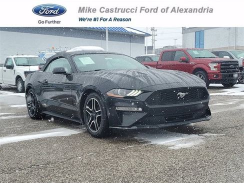 Used 2019 Ford Mustang Premium image 1
