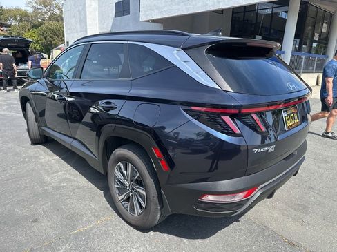 Used 2023 Hyundai Tucson Blue image 2