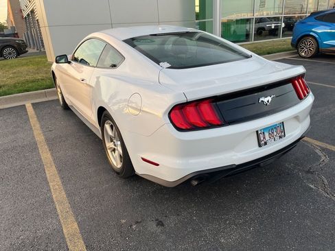 Used 2019 Ford Mustang Coupe RWD image 4