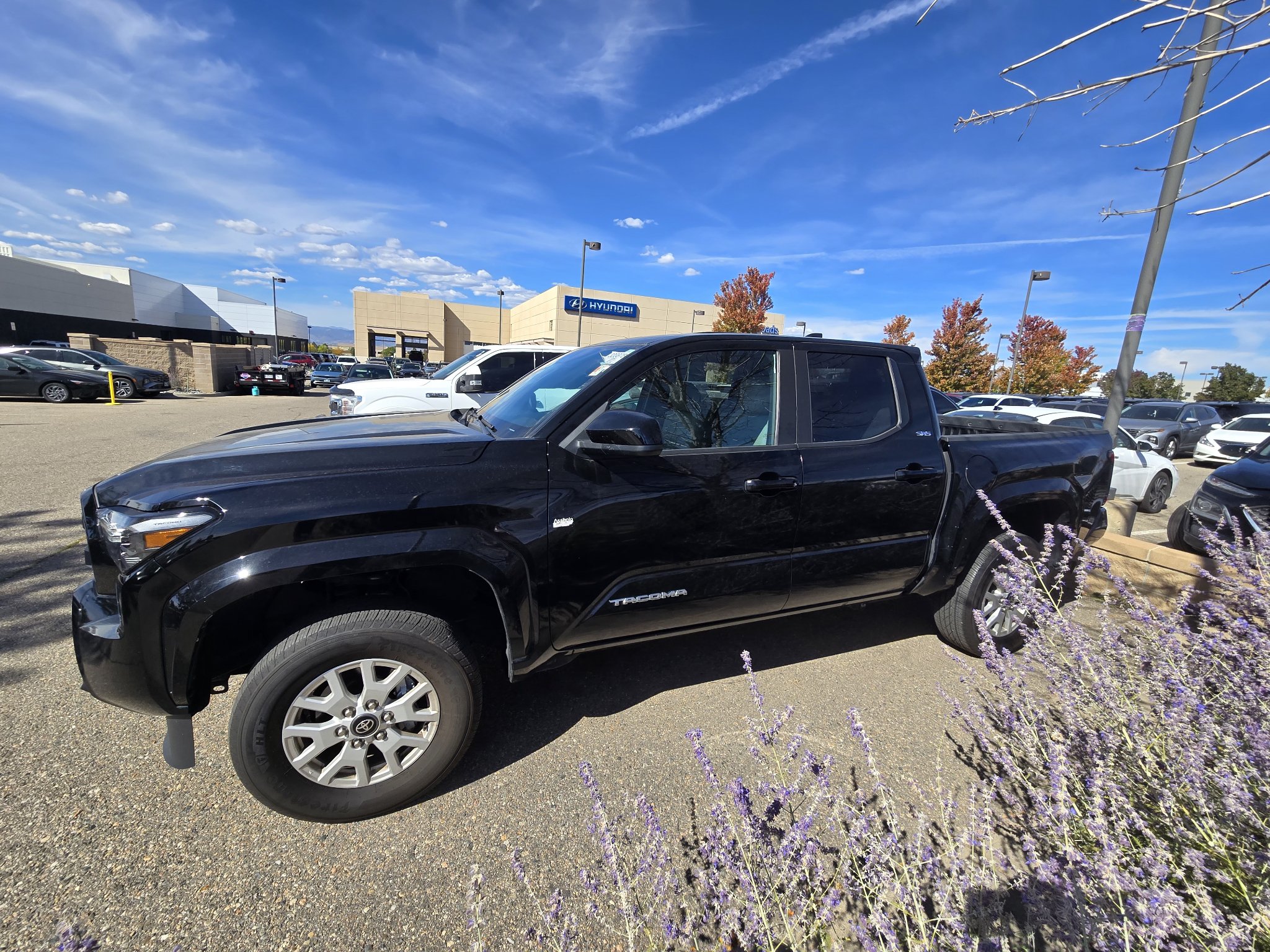 Used 2024 Toyota Tacoma SR5 AWD/4WD image 15