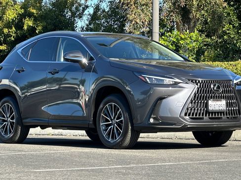 Certified 2025 Lexus NX 350h AWD w/ Cold Area Package image 6