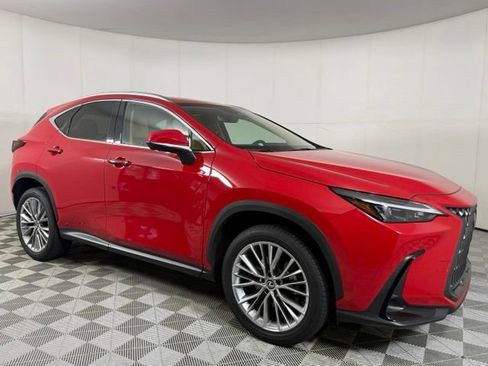 Used 2025 Lexus NX 350 AWD w/ Accessory Package (Z2) image 13