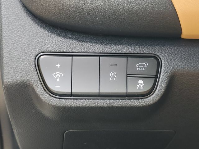 Used 2025 Kia Seltos EX w/ EX Sunroof Package AWD/4WD image 16