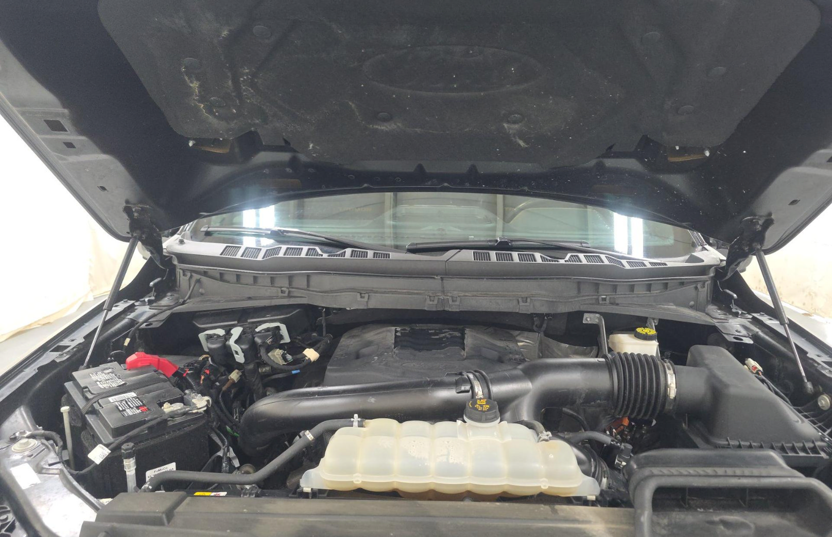 Used 2023 Ford F150 Tremor w/ Equipment Group 402A High AWD/4WD image 16