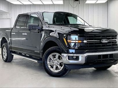 Used 2025 Ford F150 XLT w/ Equipment Group 301A Standard