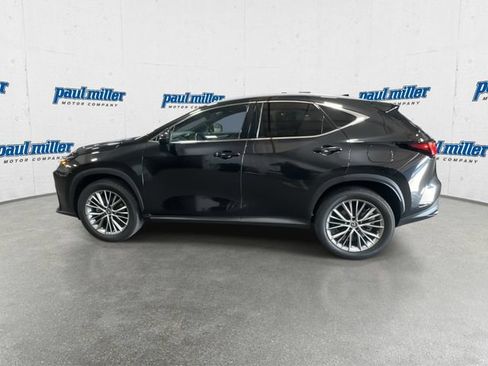 Used 2023 Lexus NX 350h AWD image 7