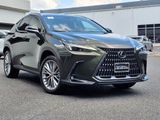 Used 2025 Lexus NX 350 AWD w/ Premium Package image 3