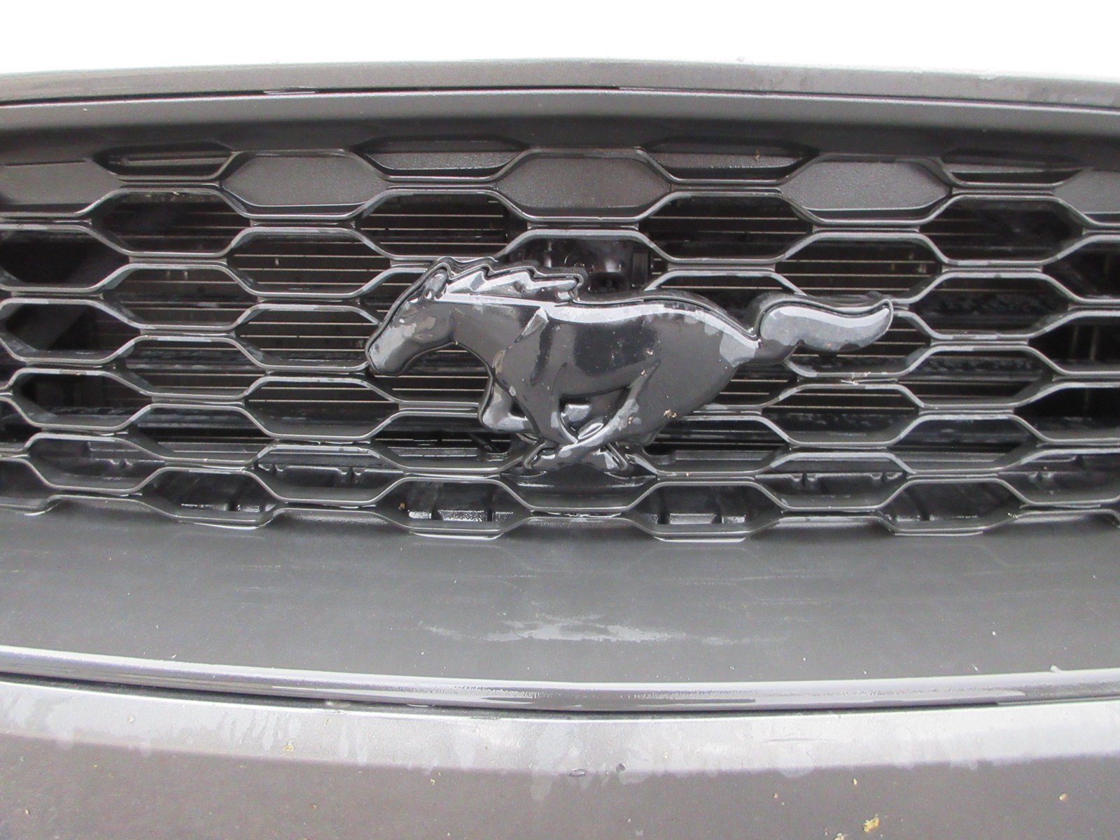 Used 2019 Ford Mustang Coupe w/ Wheel & Stripe Package RWD image 14