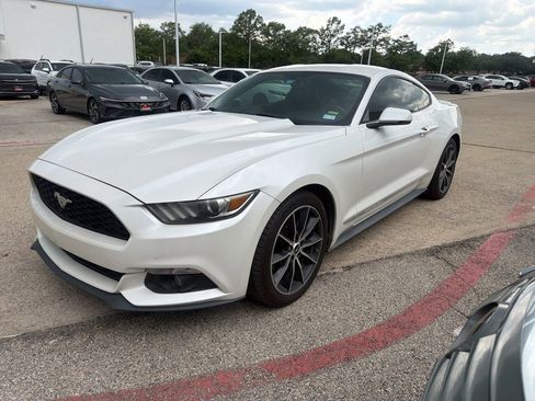 Used 2017 Ford Mustang Premium w/ Wheel & Stripe Package RWD image 14