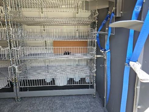 Used 2021 Chevrolet Express 2500 image 5