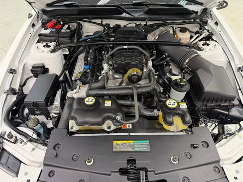 Used 2007 Ford Mustang Shelby GT500 RWD image 14