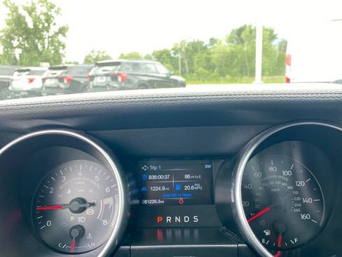 Used 2019 Ford Mustang Coupe w/ Equipment Group 101A RWD image 25