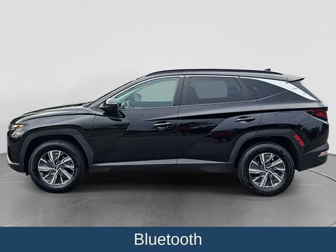 Used 2024 Hyundai Tucson Blue AWD/4WD image 5