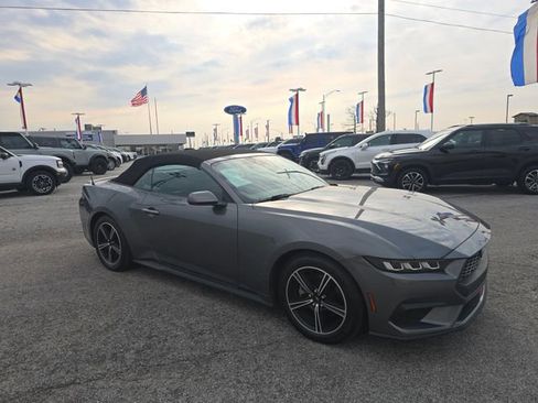 Used 2024 Ford Mustang Premium RWD image 3