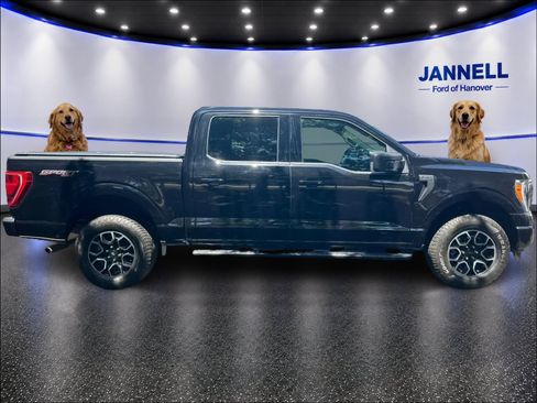 Used 2023 Ford F150 XLT w/ Equipment Group 302A High AWD/4WD image 4