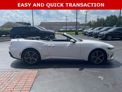 Used 2025 Ford Mustang Premium RWD image 7