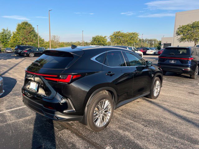 Used 2025 Lexus NX 350 AWD w/ Cold Area Package image 3