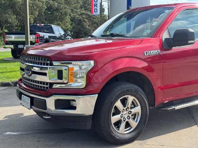 Certified 2019 Ford F150 XLT w/ Equipment Group 302A Luxury AWD/4WD image 2
