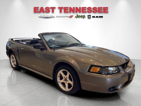 Used 2001 Ford Mustang Cobra image 7