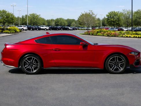 Used 2021 Ford Mustang Premium w/ Equipment Group 201A image 6