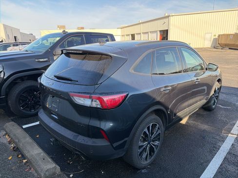 Used 2022 Ford Escape SEL w/ SEL Stealth AWD Package image 6