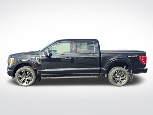 Used 2021 Ford F150 XLT w/ Equipment Group 302A High AWD/4WD image 11