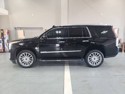 Used 2019 Cadillac Escalade Luxury