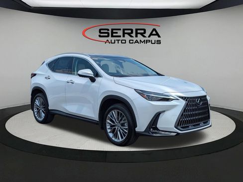 Used 2025 Lexus NX 350 AWD w/ Cold Area Package image 1