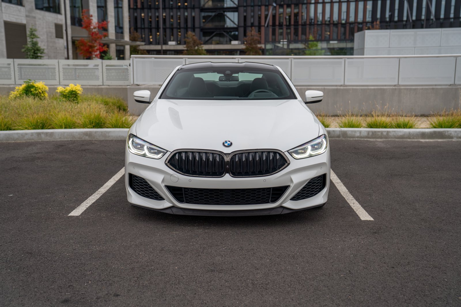 Used 2019 BMW M850i xDrive Coupe AWD/4WD image 6