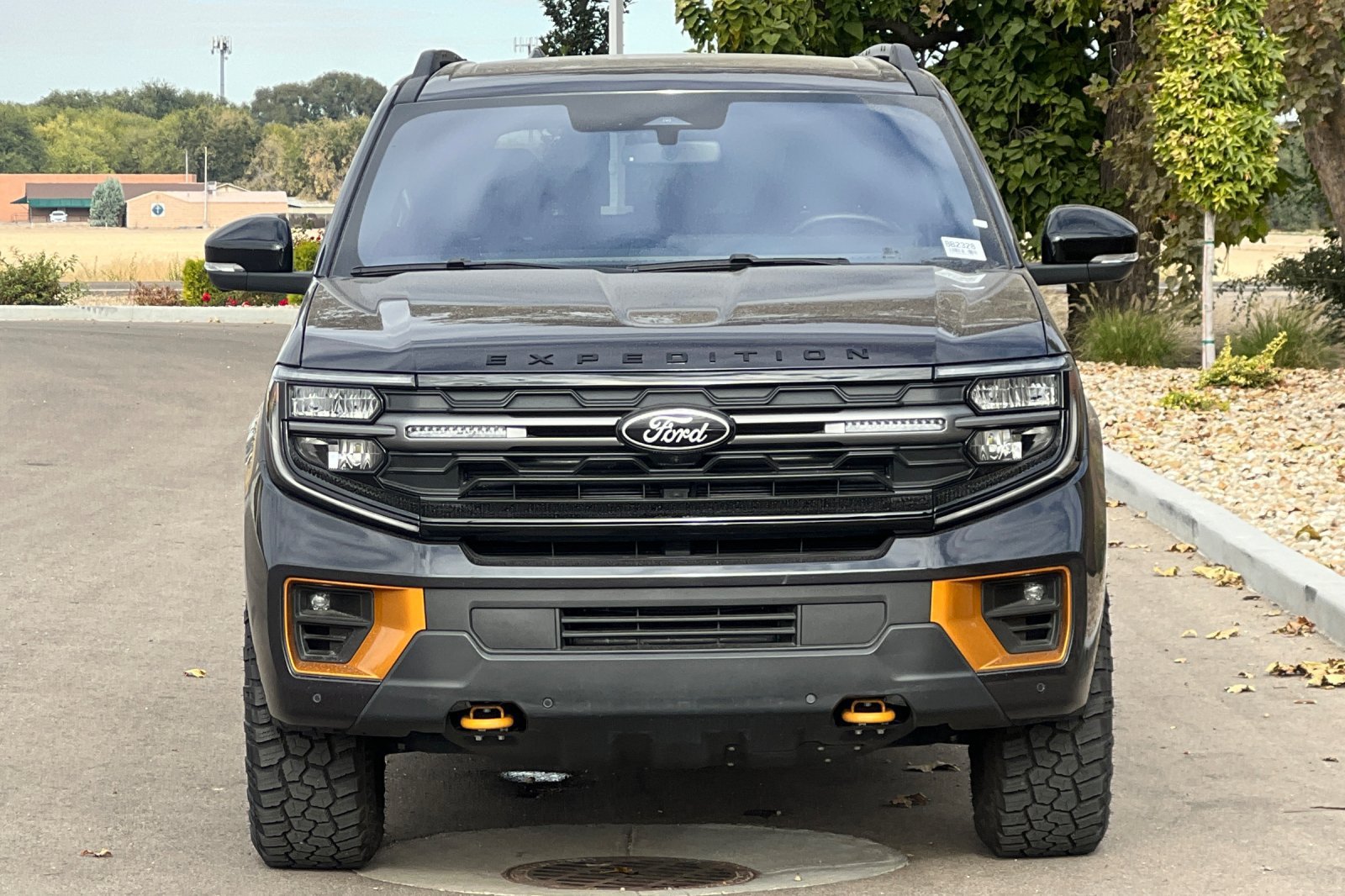 Used 2025 Ford Expedition Tremor AWD/4WD image 12
