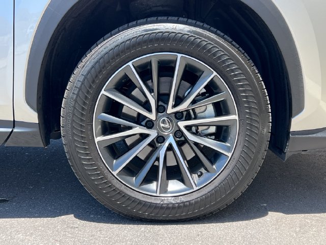 Used 2025 Lexus NX 350h AWD w/ Cold Area Package image 14
