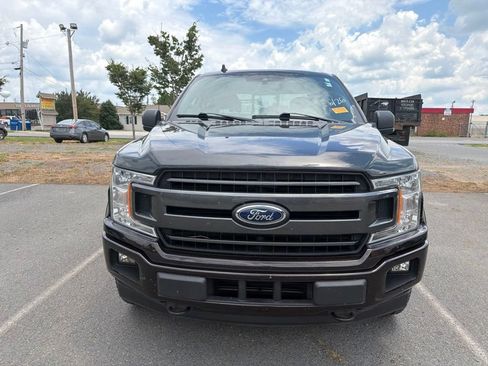Used 2019 Ford F150 XLT w/ Equipment Group 302A Luxury AWD/4WD image 2