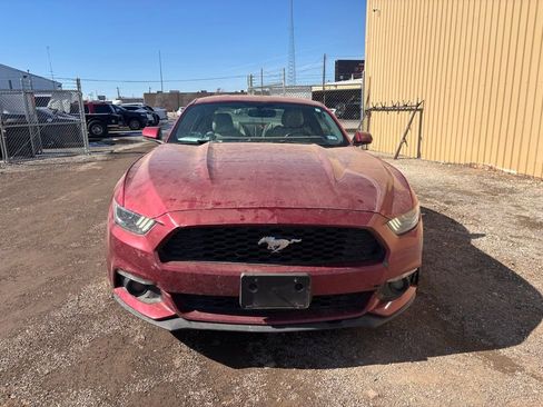 Used 2017 Ford Mustang Premium image 2