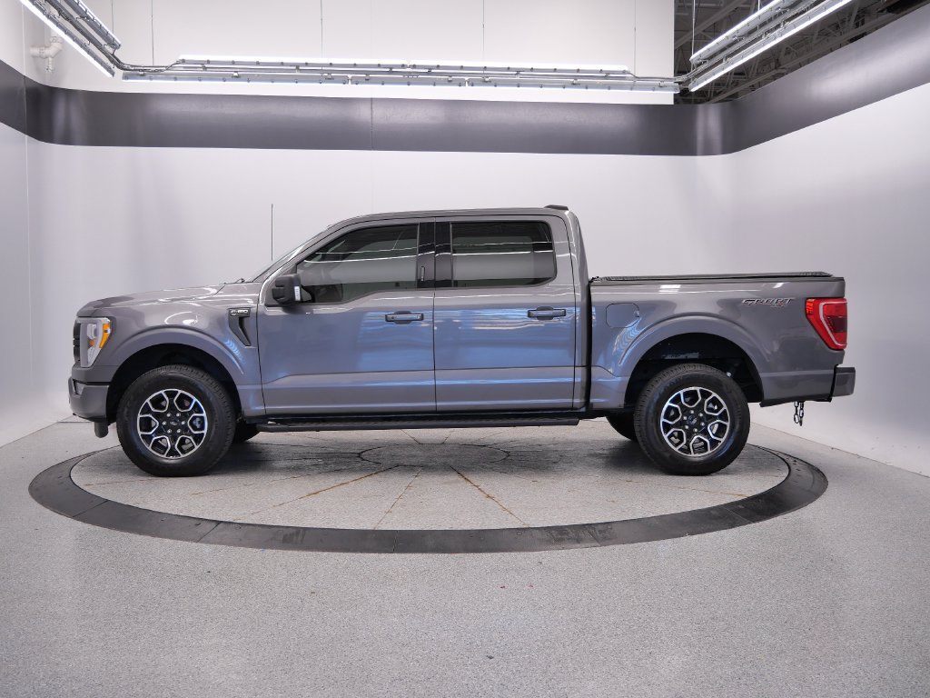 Used 2023 Ford F150 XLT w/ Equipment Group 302A High AWD/4WD image 2