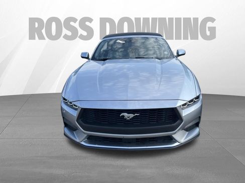Used 2024 Ford Mustang Premium RWD image 2