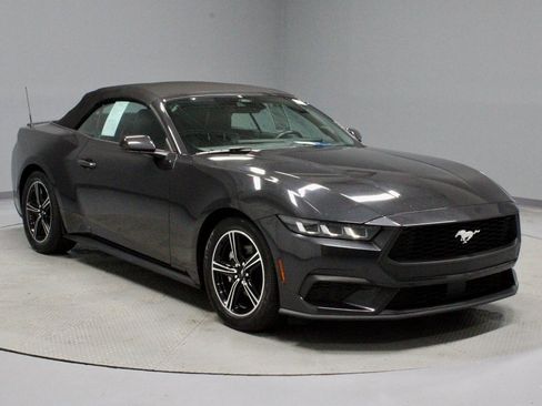 Certified 2024 Ford Mustang Premium image 1